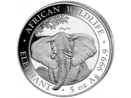 2021 5 oz Somalia Silver Elephant rev