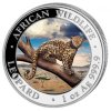 1 oz silver somalia leopard 2021 100 shillings coloured