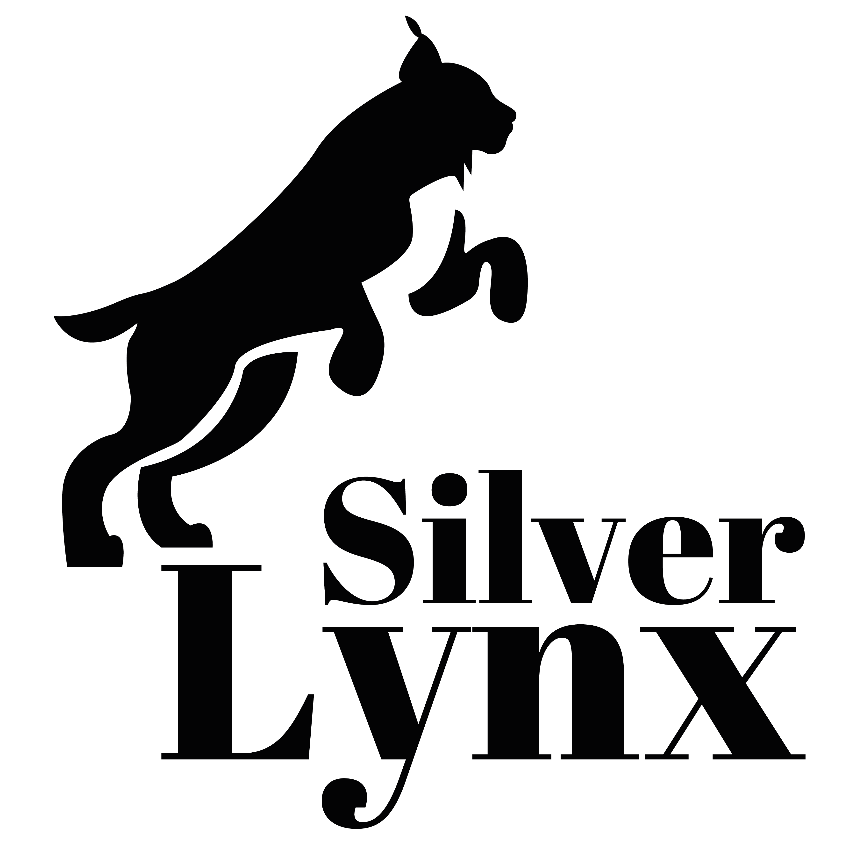 Silver Lynx Kft
