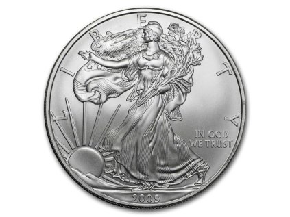 Stříbrná mince 1 oz U.S. Eagle 2009 Typ 1