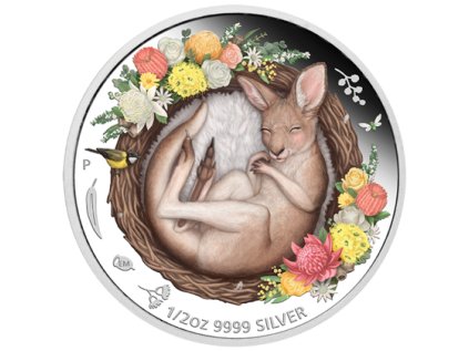Stříbrná mince 1/2 oz Kangaroo Dreaming Down Under 2021 Proof