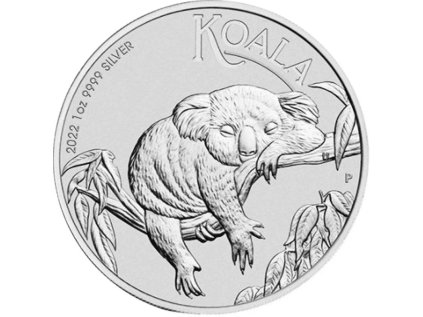 13896koala