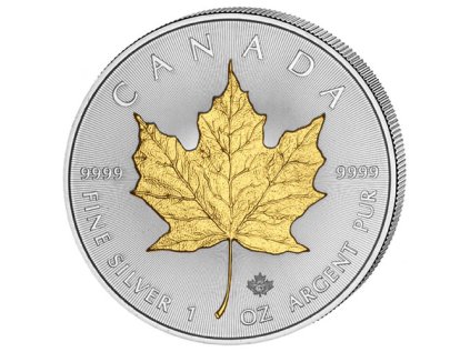 vyr 310Gilded Maple Leaf
