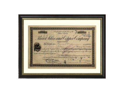 parrot silver and copper company stock certificate 252202 refin