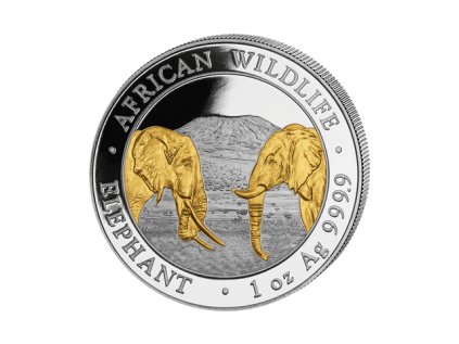 Stříbrná mince 1 oz Somálský slon African Wildlife 2023 Pozlacená