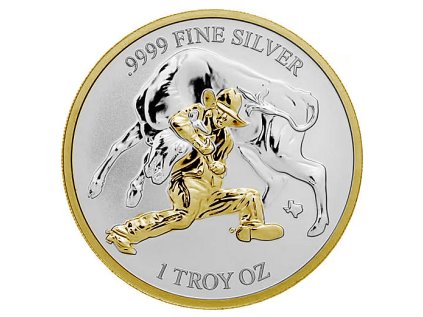 Snímek obrazovky 2026 01 29 134715