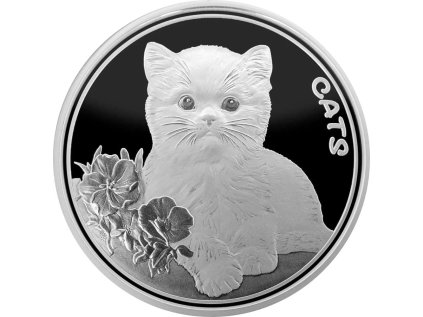 Stříbrná mince Kočka 1 oz 2022 Kolorovaná BU
