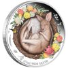Stříbrná mince 1/2 oz Kangaroo Dreaming Down Under 2021 Proof