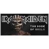 30697 Iron Maiden The Book of Souls Silver note r