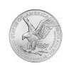 Stříbrná mince 1oz American Eagle - I Vote Today