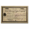 parrot silver and copper company stock certificate 252202 obv
