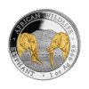 Stříbrná mince 1 oz Somálský slon African Wildlife 2023 Pozlacená