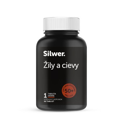 zily cievy mockup predok