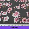 sakura