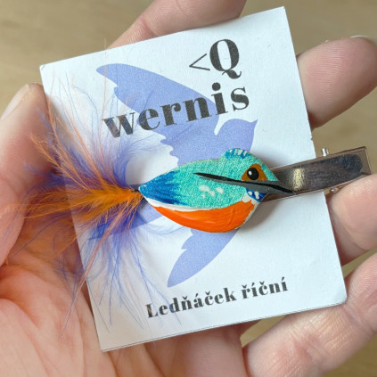 spona wernis ledňáček říční