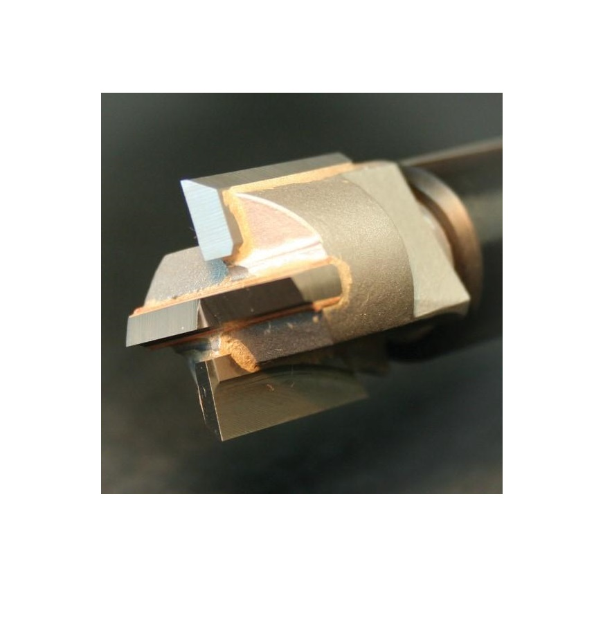 Igm Fréza HM pro dřevěné dveře - D22 mm 137-CWB22