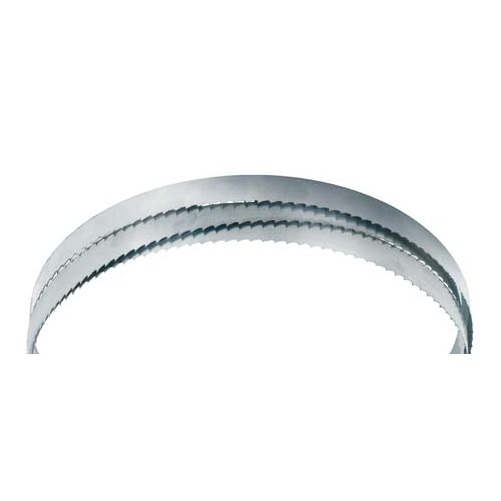 Holzstar Holzstar Pilový pás 1575 × 10 × 0,65 mm (10 z/") pro HBS 231-1 PP1575100010DRE