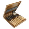 Narex Bystřice Sada řezbářských dlát v dřevěné kazetě WOOD LINE STANDARD