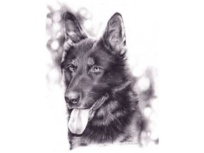 b R7641849 224048 20170107 46662