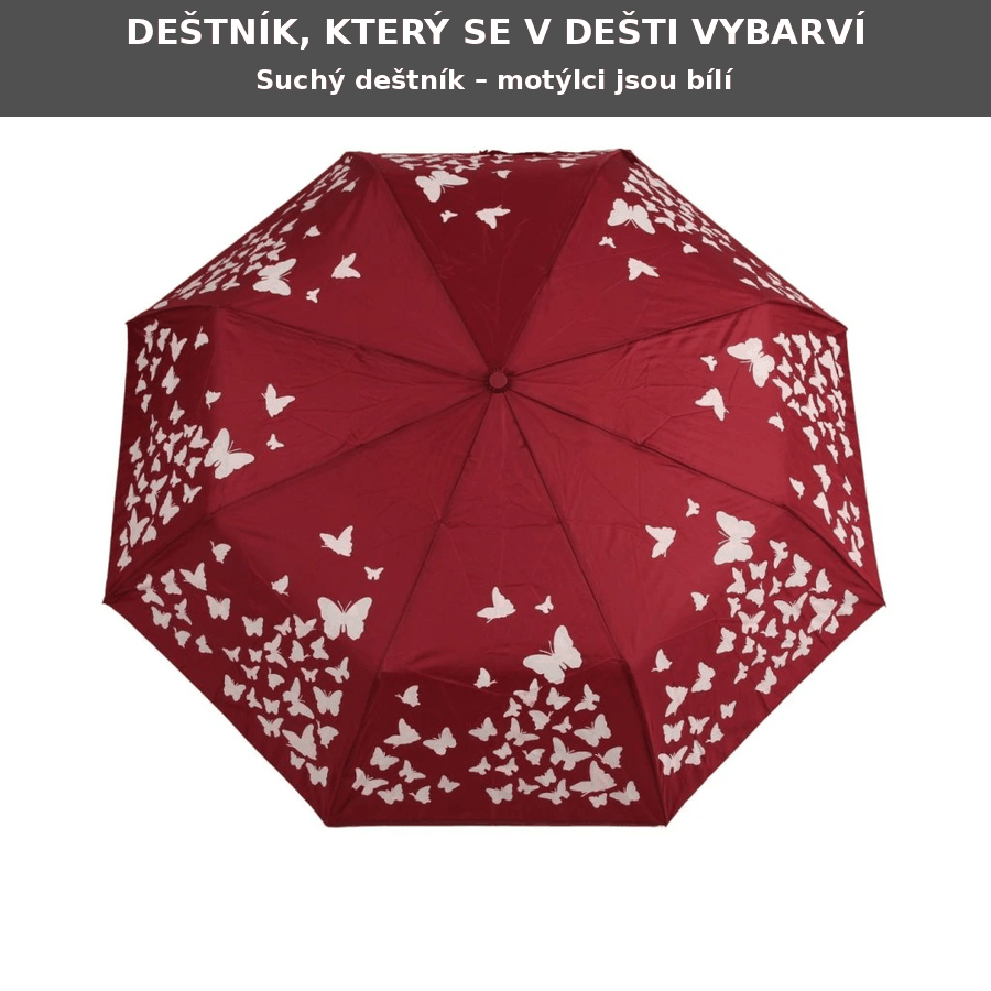 destnik_motylci_5381_vylepseny
