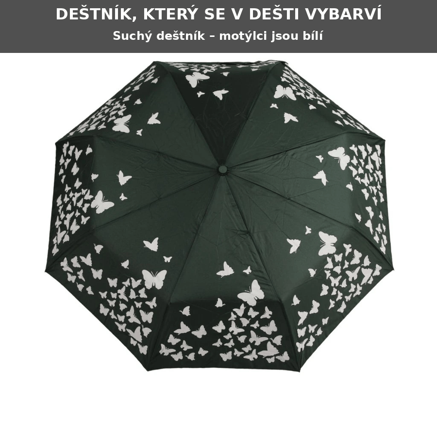 destnik_motylci_5390