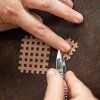 Apply CrossLinq Vet to the coat