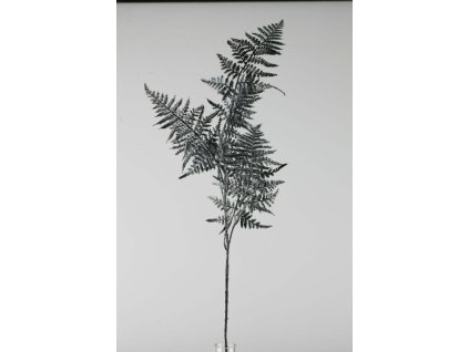 25205-84 Asparagus metalický tm.modrý 80cm