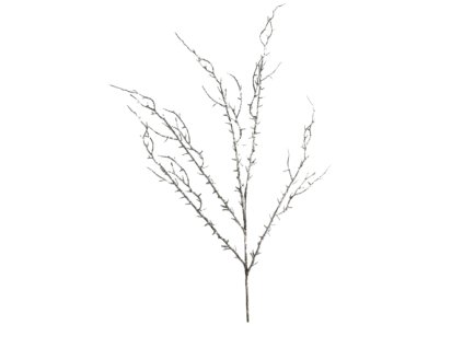 10048 1 pixelcut export 1334