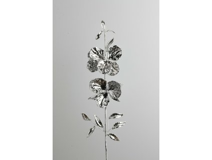 Orchidea strieborná 66cm