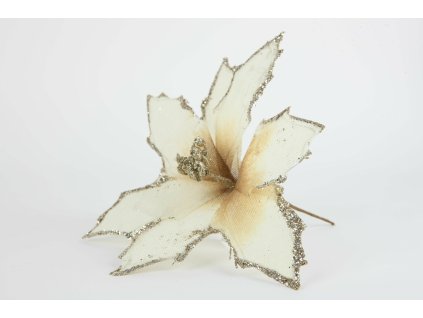 Vianočná ruža krémová 20cm