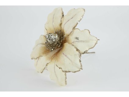 Magnólia krémová 20cm