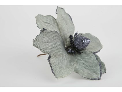 Magnólia šedá 20cm