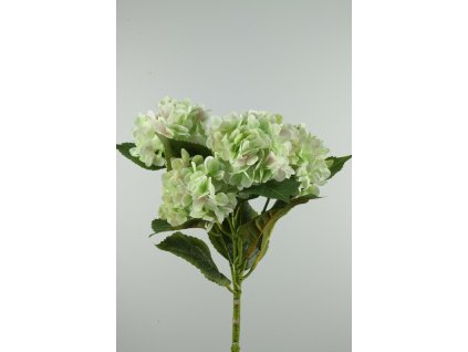 56838-01 Kytica Hydrangea 4-kv zelená 60cm