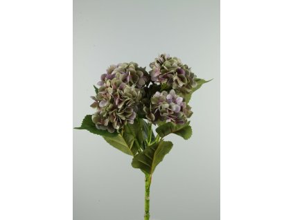 56838-20 Kytica Hydrangea 4-kv fialovo-zelená 60cm