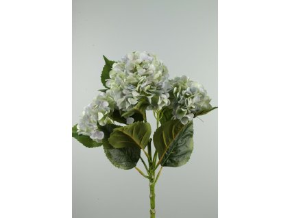 56838-25 Kytica Hydrangea 4-kv svetlozelená 60cm