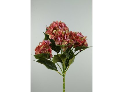 56838-65 Kytica Hydrangea 4-kv ružovo-zelená 60cm