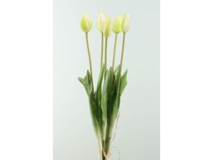 3701-34 Kytica tulipánov 5ks zelená 45cm