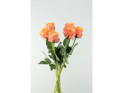 42677-18 Ruža oranžová zväzok 6ks 55cm