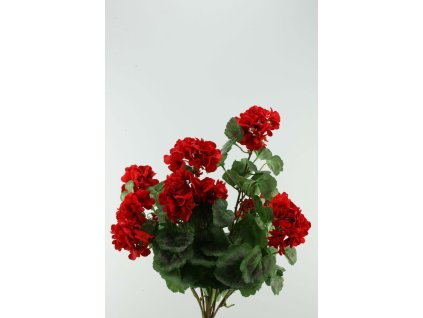 56894-02 Muškát červený 55cm