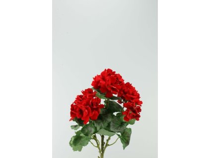 56892-02 Muškát červený 36cm