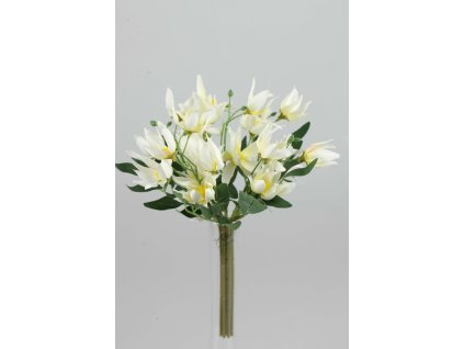Kytica Astromeria biela 30cm