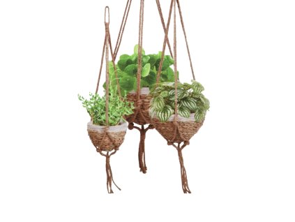 13612 pixelcut export 894