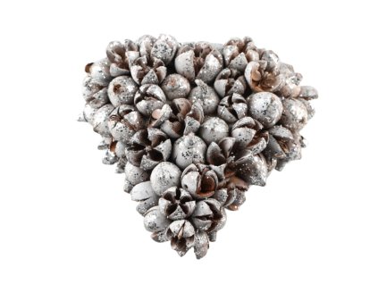 14506 pixelcut export 2025 07 02t151347 857