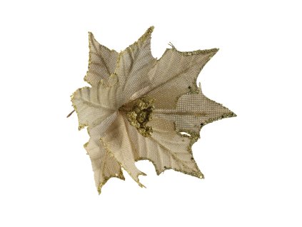 18027 vianocna ruza bezova 20cm