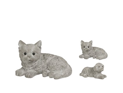 18271 pixelcut export 2025 06 12t130716 613