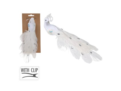 18649 pixelcut export 2025 08 07t134728 071