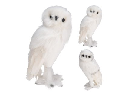 18655 pixelcut export 2025 08 07t162353 761