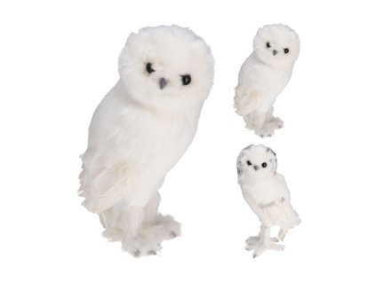 18658 pixelcut export 2025 08 07t162542 202