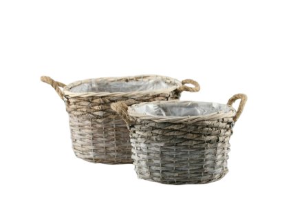 199 1 pixelcut export 2025 06 24t163137 180