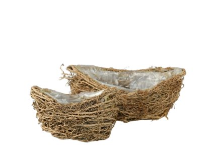 223 1 pixelcut export 2025 06 24t161022 340